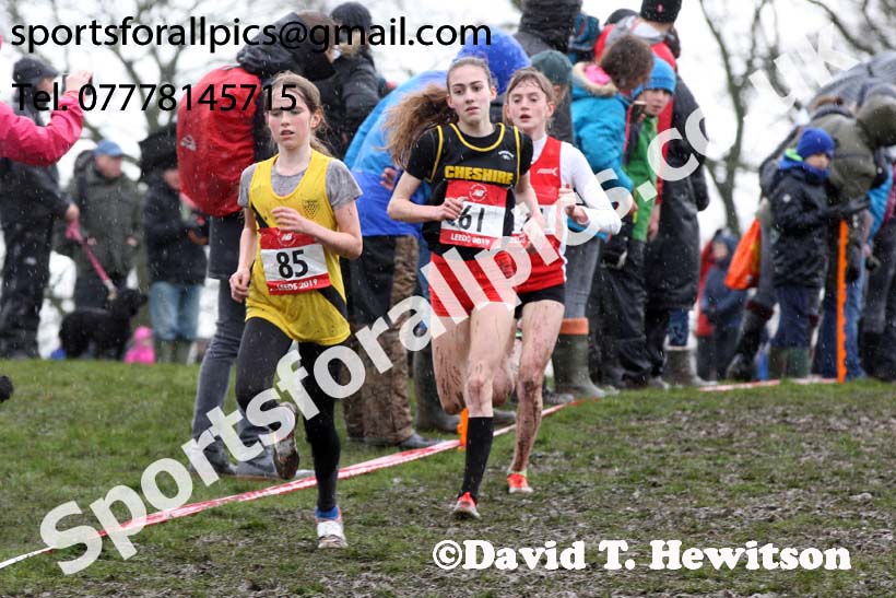 Junior girls 2019 New Balance English Schools Cross Country Champs, Temple Newsam, Leeds. Photo:  David T. Hewitson/Sports for All Pics